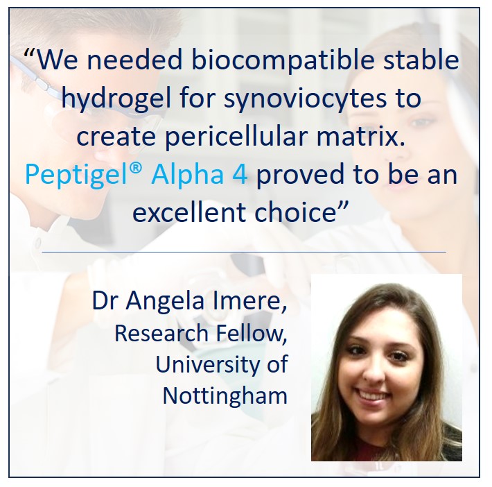 Dr Angela Imere Quote