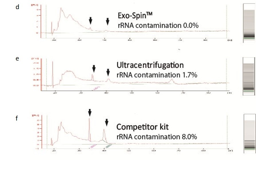 RNA analysis