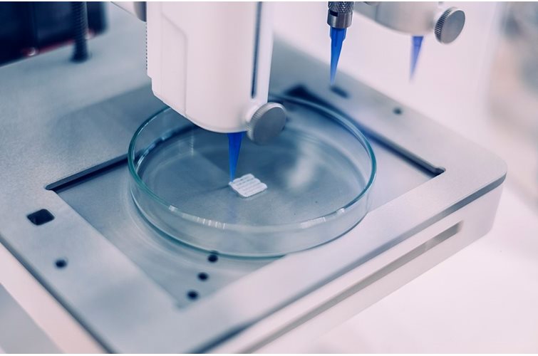 Shear joy: Bioinks enable 3D bioprinting