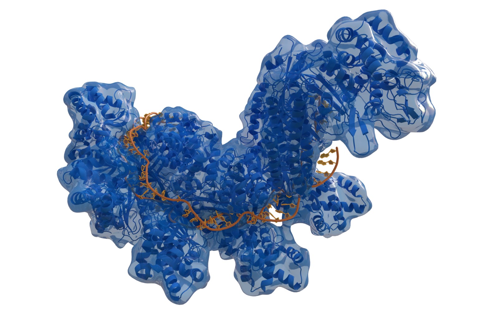 Alternatives to CRISPR-Cas9