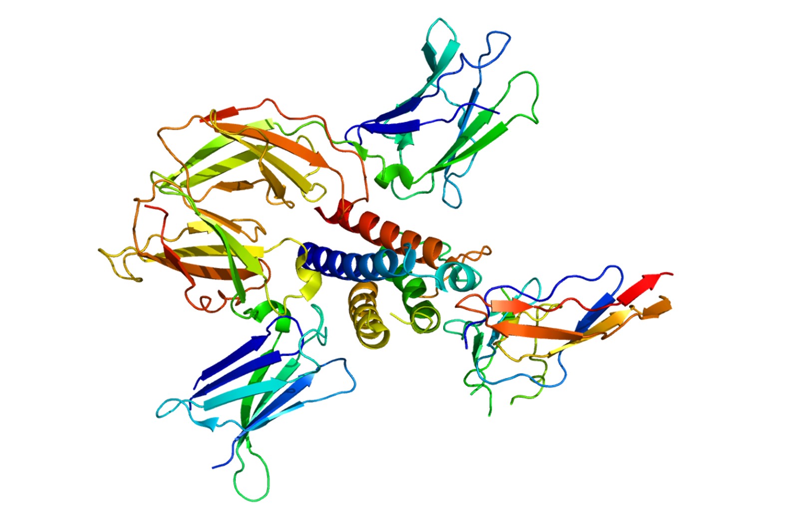 Second generation IL-2 therapy set to boost checkpoint inhibitors