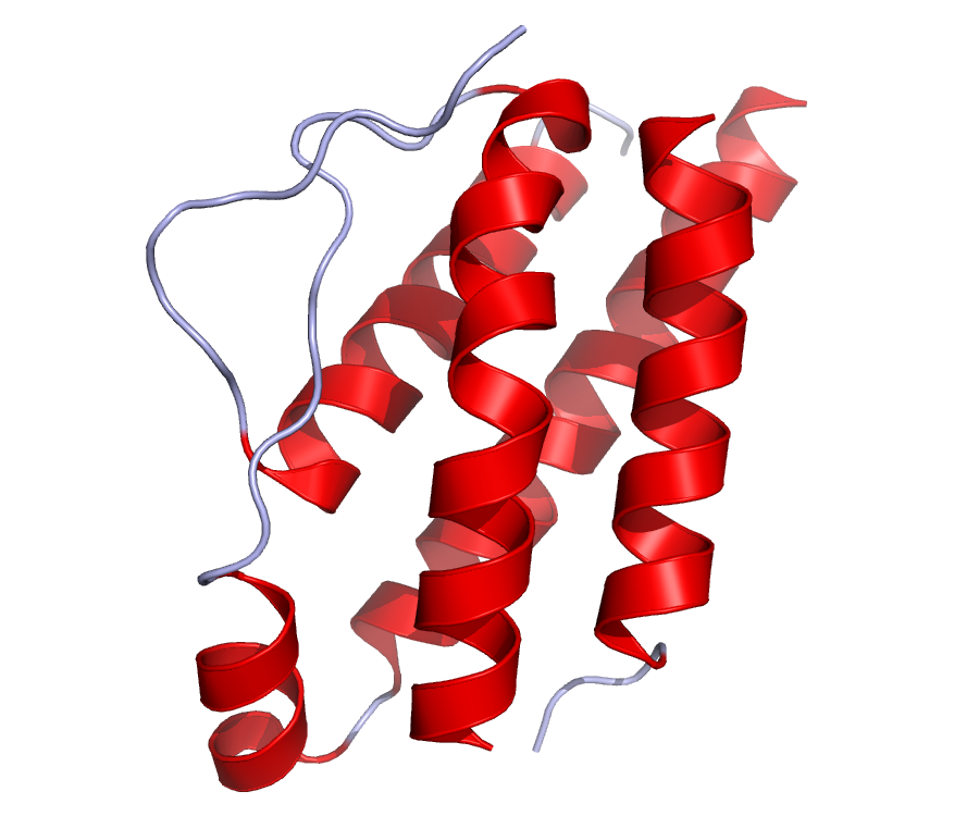 Growth factors, hormones, cytokines and chemokines