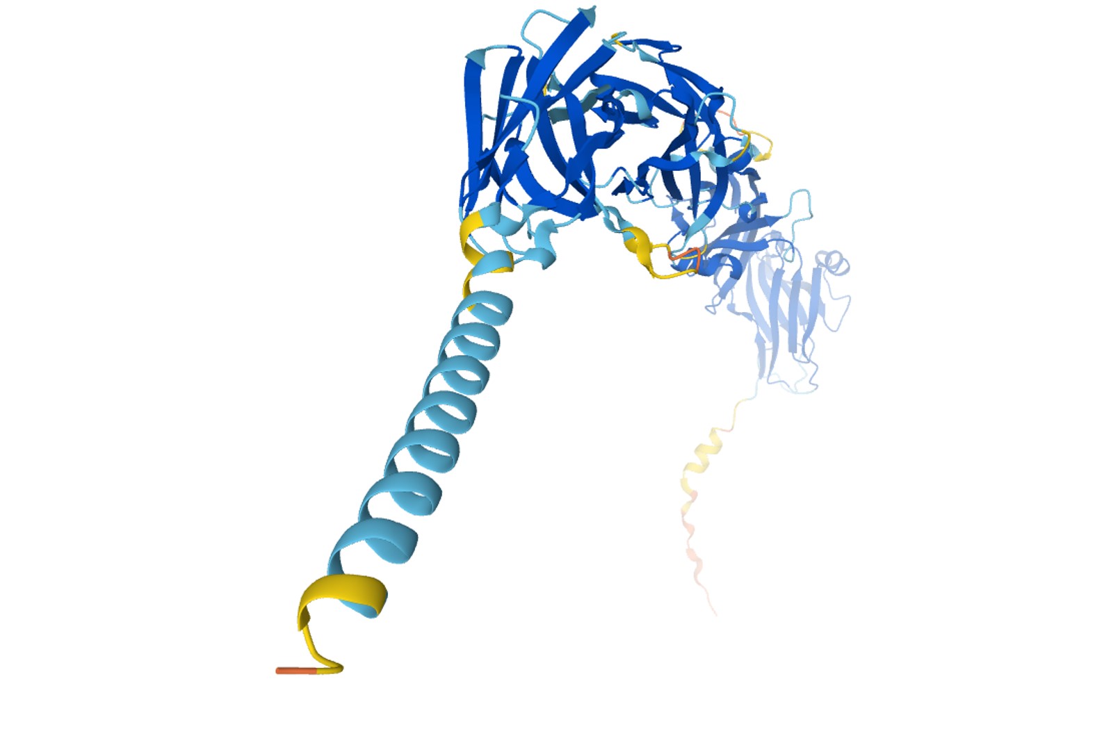 The difference between peptides and proteins