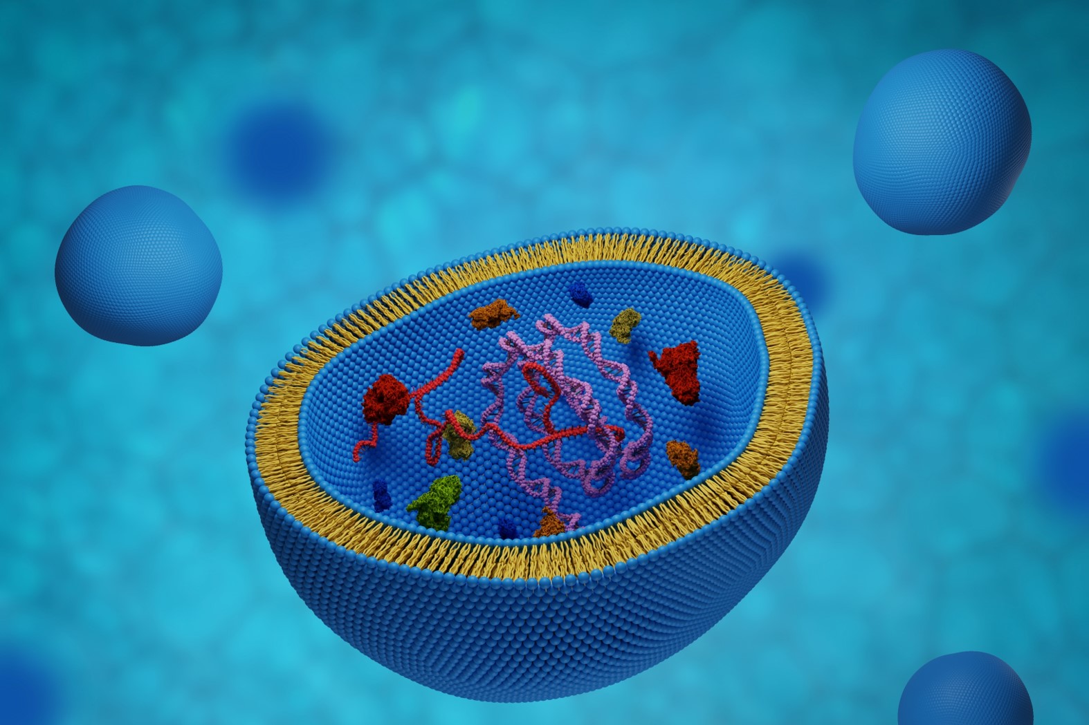 Exosome loading