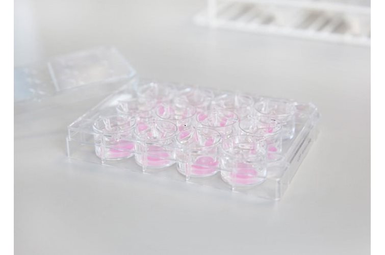 The Advantages of Peptide Hydrogels in 3D Cell Culture