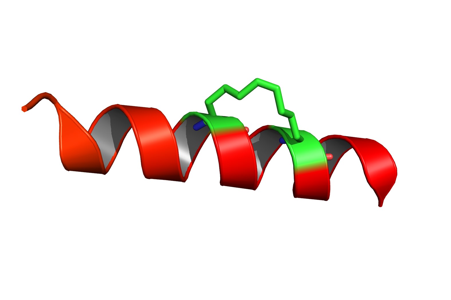 Peptides set to power a drug revolution