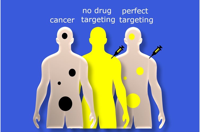 Overcoming barriers to cancer protein drug delivery