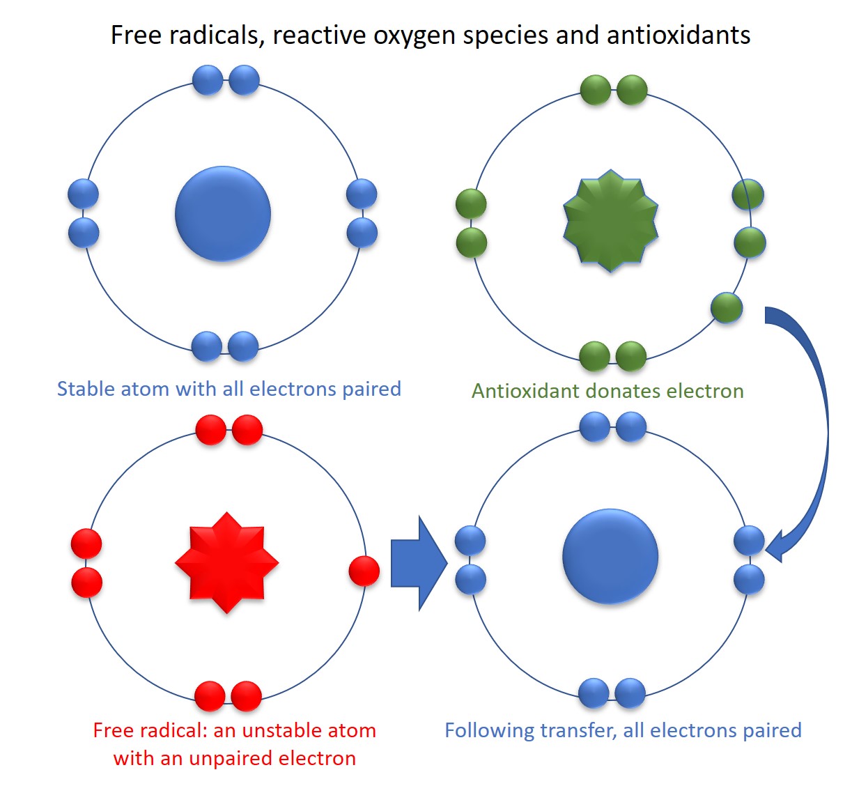 Oxygen on sale free radicals