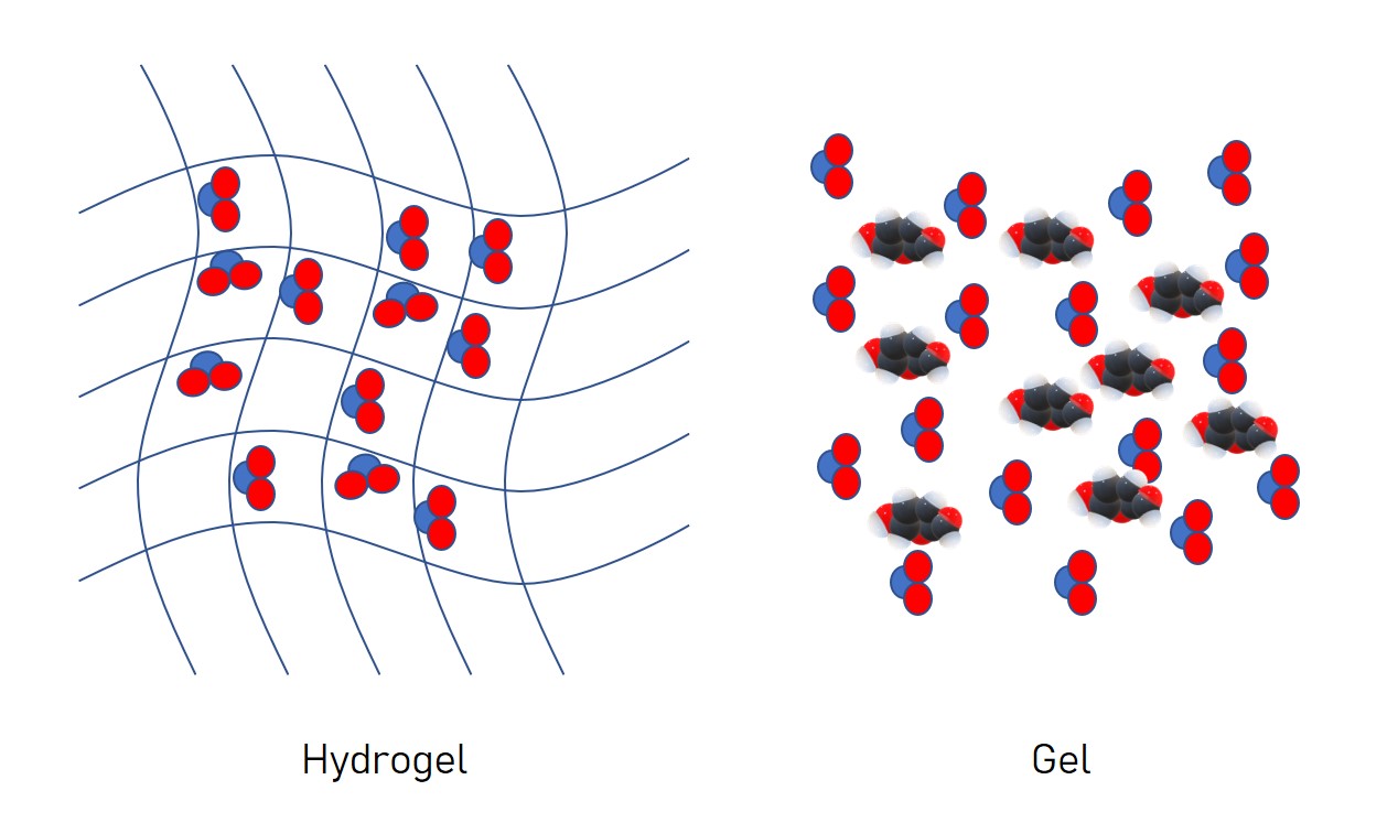 hydrogel vs gel