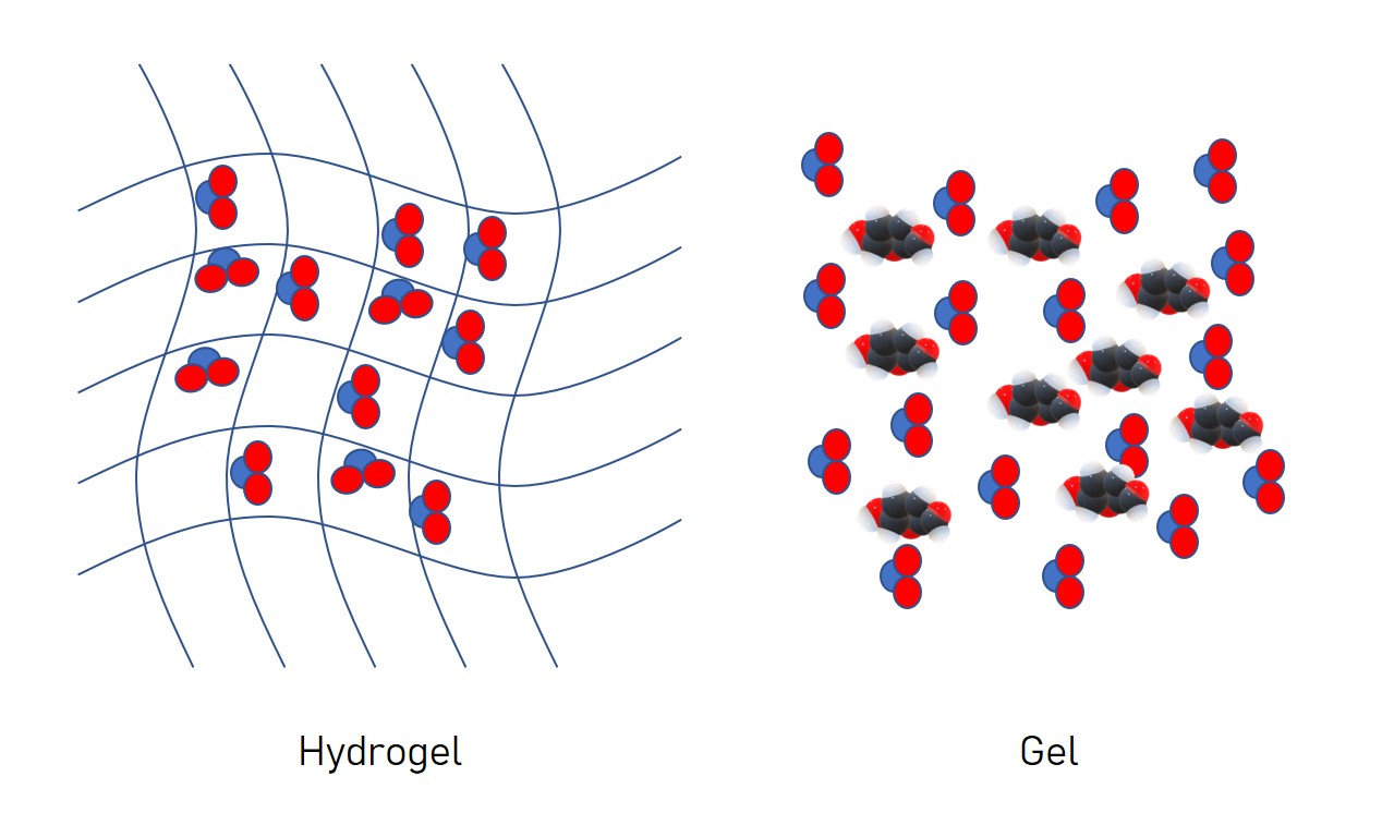 The solid and the gel states of hydrogels observed at different