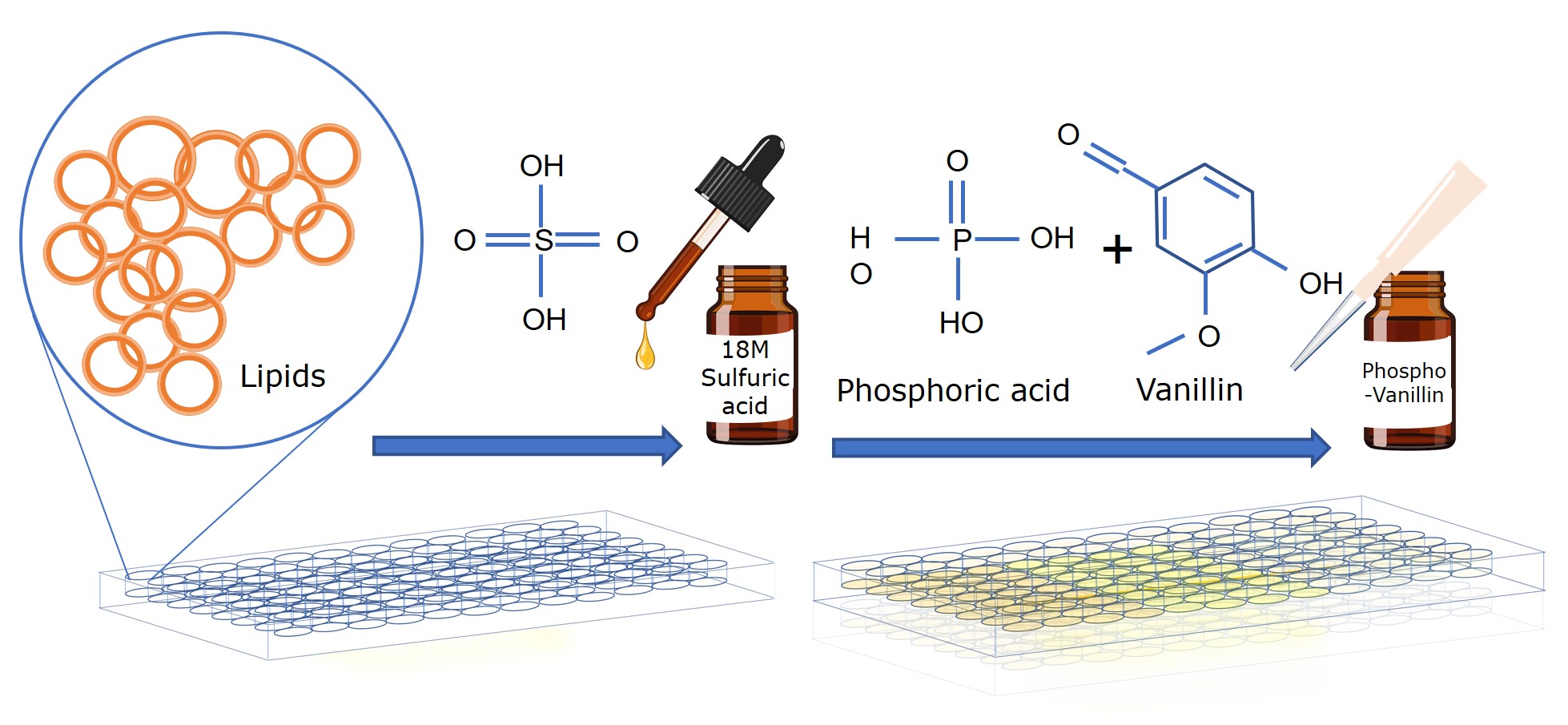 sulpho-phospho-vanillin assay