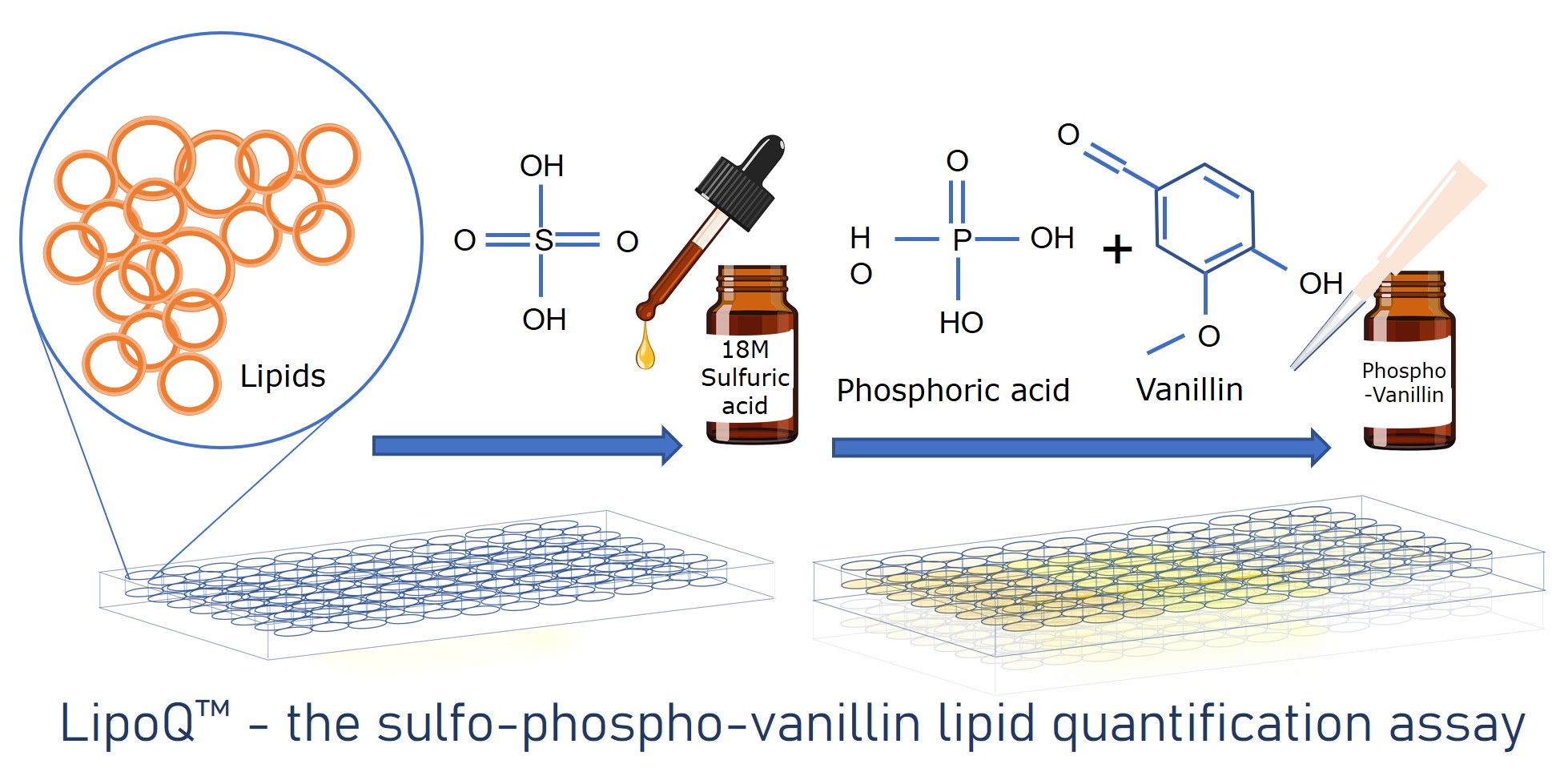 sulpho-phospho-vanillin assay