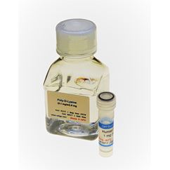 OptiCol&#8482; Human Collagen Type IV non-sterile (powder), 5 mg