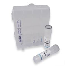 Instant Exosomes&#8482; COLO205