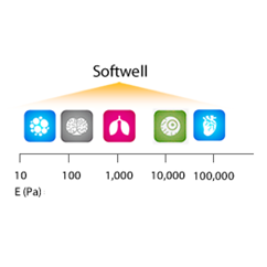 Softwell 6 Well Plate Non Activated